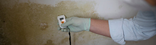 Can a Dehumidifier for Mold Effectively Control Mold and Odors?