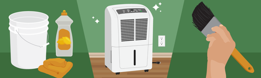 How to clean and maintain a dehumidifier?