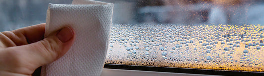 Necessity of Using a Dehumidifier