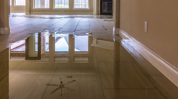 Do you think your home could benefit from a dehumidifier?