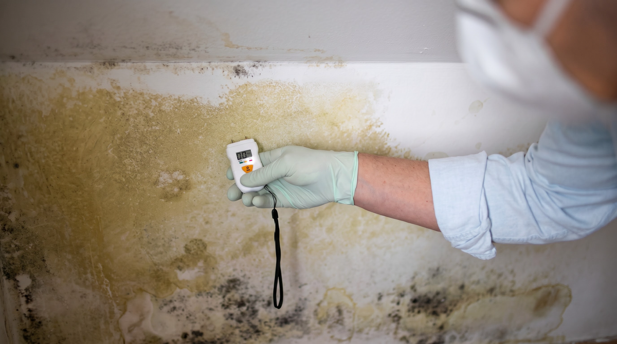 Can a Dehumidifier for Mold Effectively Control Mold and Odors?