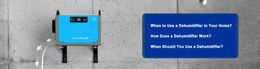 When to Use a Dehumidifier in Your Home