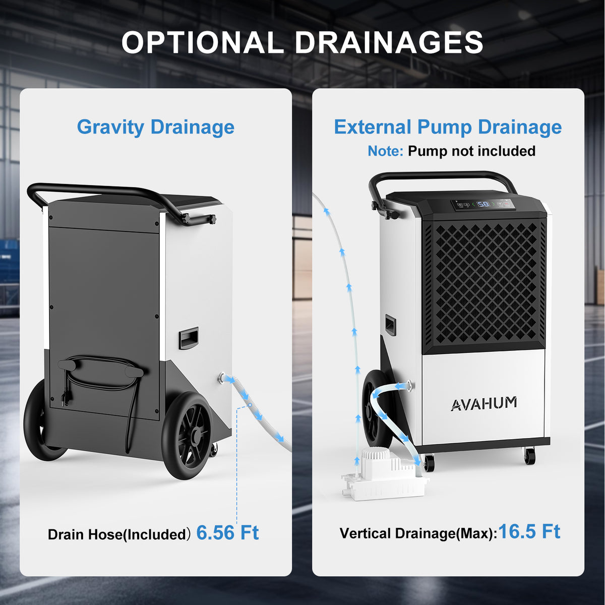250 Pints Crawl Space Dehumidifier with Drain Hose _ AVAHUM  AM260
