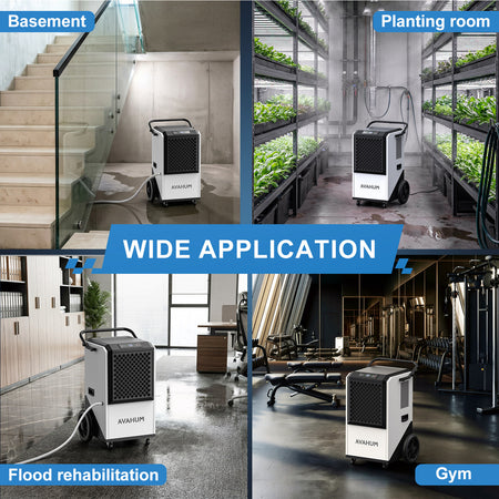 250 Pints Crawl Space Dehumidifier with Drain Hose _ AVAHUM  AM260