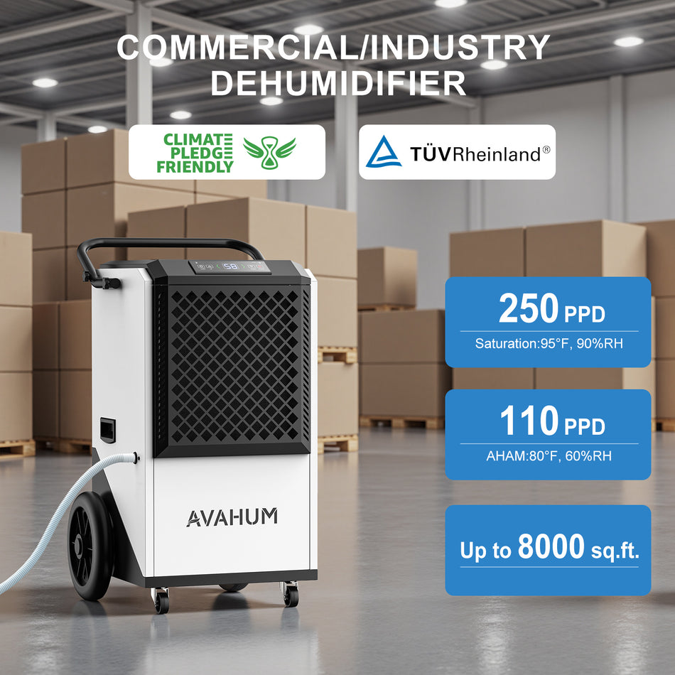 250 Pints Crawl Space Dehumidifier with Drain Hose _ AVAHUM  AM260