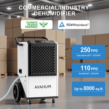 250 Pints Crawl Space Dehumidifier with Pump and Drain Hose _ AVAHUM AM207P