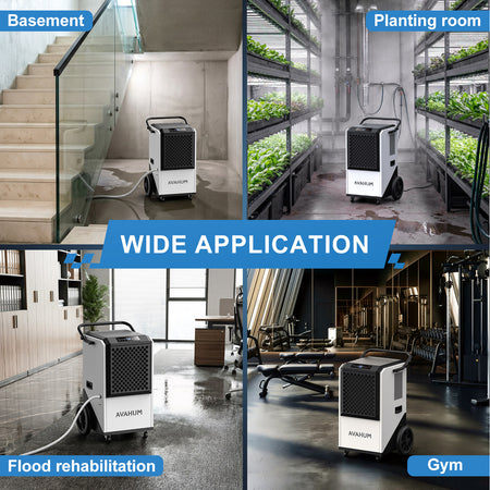 250 Pints Crawl Space Dehumidifier with Pump and Drain Hose _ AVAHUM AM207P