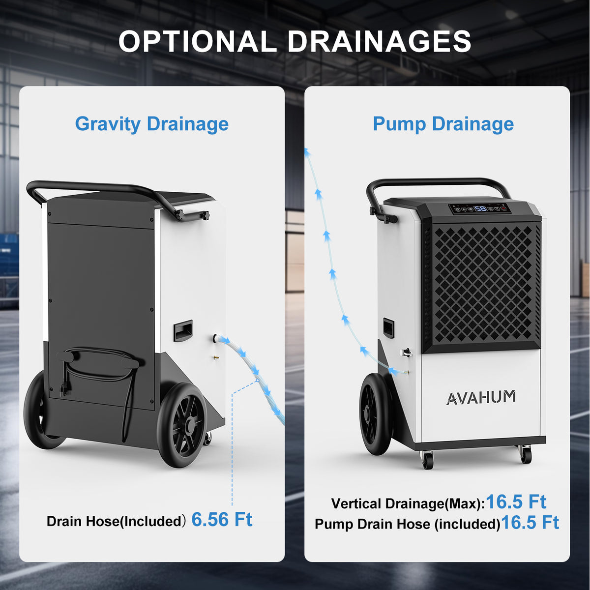 250 Pints Crawl Space Dehumidifier with Pump and Drain Hose _ AVAHUM AM207P