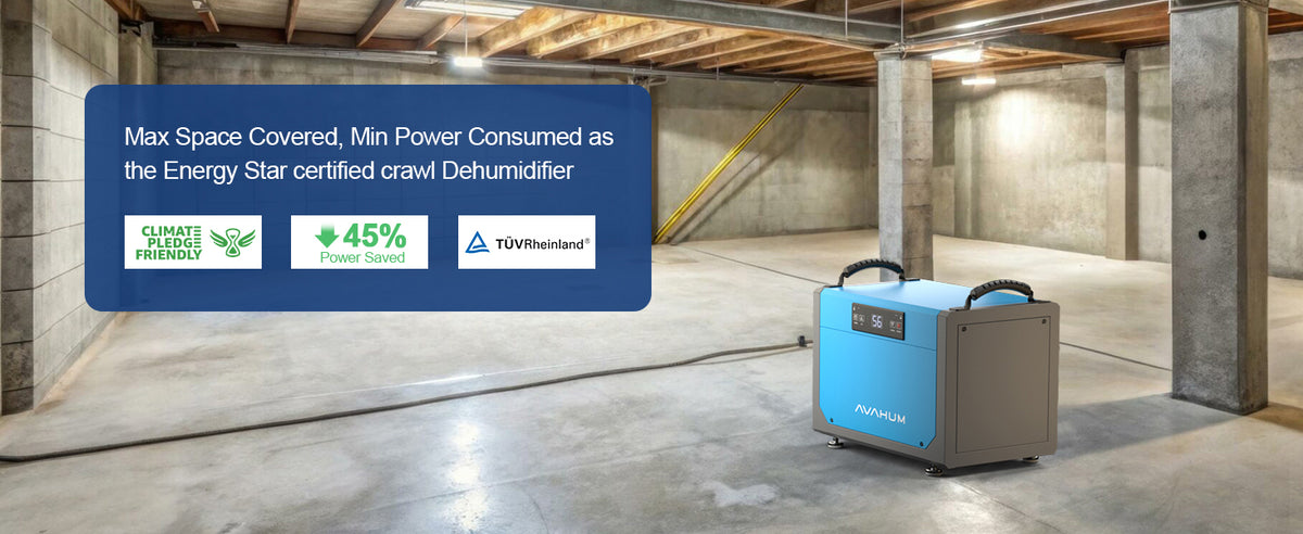 AVAHUM 113 Pints Crawl Space Dehumidifier for Basements, Commercial Dehumidifier with Drainage Hose, Coverage Area 3300 Sq.ft , ETL Listed