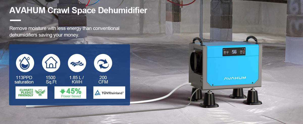 AVAHUM 113 Pints Crawl Space Dehumidifier for Basements, Commercial Dehumidifier with Drainage Hose, Coverage Area 3300 Sq.ft , ETL Listed