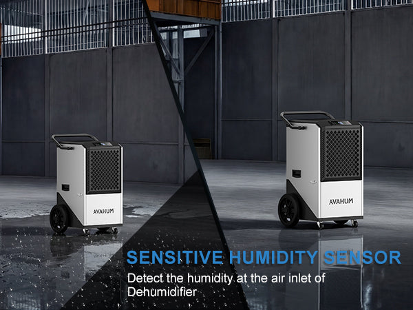 AVAHUM 250 Pints Commercial Dehumidifier with Drain Hose, Dehumidifier for Basement, 1-Year Warranty