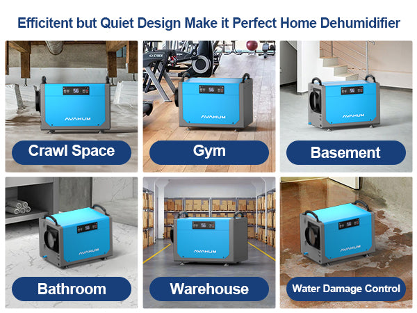 AVAHUM 113 Pints Crawl Space Dehumidifier for Basements, Commercial Dehumidifier with Drainage Hose, Coverage Area 3300 Sq.ft , ETL Listed