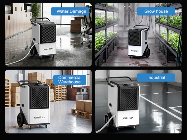 AVAHUM 250 Pints Commercial Dehumidifier with Drain Hose, Dehumidifier for Basement, 1-Year Warranty