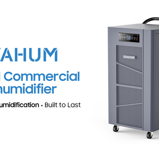 AVAHUM dehumidifier model CFT320P video