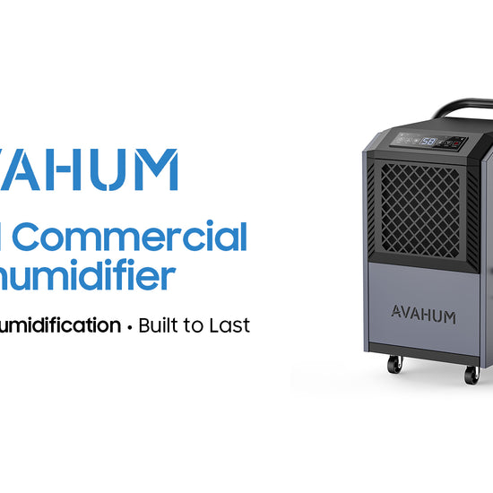 AVAHUM dehumidifier model DV160PB video