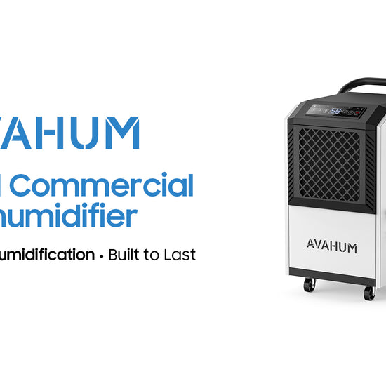 AVAHUM dehumidifier model DV160PW video