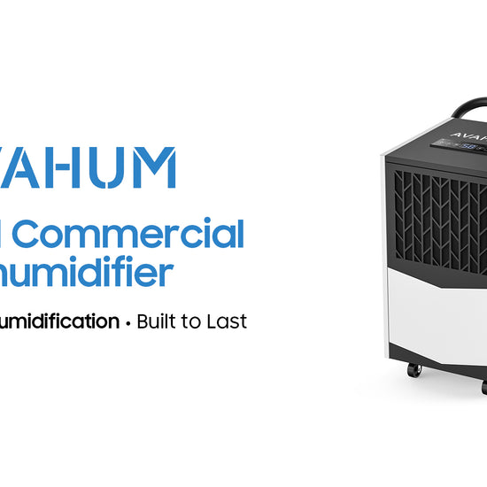AVAHUM dehumidifier model DV165PW video